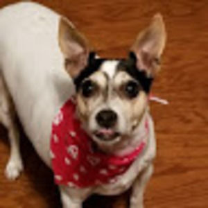 Meet your Posher, Gina